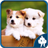 icon Dog Jigsaw Puzzles 1.6.8