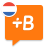 icon Dutch 20.31.0