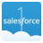icon Salesforce1 12.1