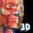 icon com.AnatomyLearning.Anatomy3DViewer3 2.1.329