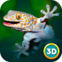 icon Gecko Simulator 3D