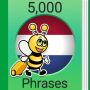 icon Nederlands Fun Easy Learn5 000 Frases