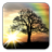 icon Sun Rise Live Wallpaper 4.5.7