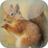 icon Red Squirrel Live Wallpaper 4.0