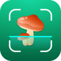 icon Mushroom ID: Fungi Identifier