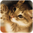icon Cat Memory Cleaner 1.1.4