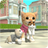 icon CatSim 216