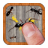 icon Ant Smasher 9.82
