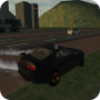 icon Fast Car Simulator 3D