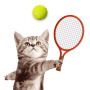 icon Cat Meow Tennis: Sport Battle