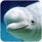icon The Beluga Whale 1.0.3