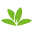 icon org.plantnet 2.2.0