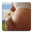 icon ru.fedr.pregnancy 2.3.2