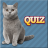 icon Cats Quiz 1.0.8