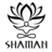 icon Shaman 1.1