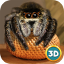 icon Spider Pet Life Simulator 3D