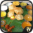icon Indian Recipes 2.0