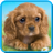 icon Talking Puppy 1.720.0.576