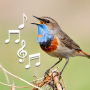 icon Bird and Animal soundboard