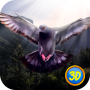 icon Wild Pigeon Simulator