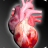 icon Circulatory System in 3D Anatomy 1.9.5