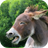 icon Donkey Sounds 1.0
