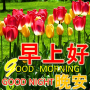 icon Chinese Good morning till night blessing love