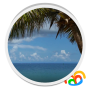 icon Beach Palm Tree Live Wallpaper