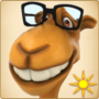 icon Magic Camel