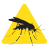 icon Mosquito Alert 2.2.0