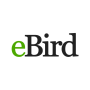 icon eBird by Cornell Lab