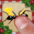 icon Ant Xmas 1.56