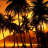 icon live wallpaper palm tree 6.00