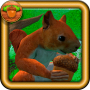 icon Squirrel Simulator
