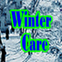 icon Winter Care