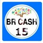 icon Br Cash v15