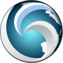 icon Web Browser