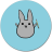 icon Study Bunny 16.5.1