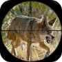 icon Coyote Hunting Calls