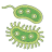 icon Bacteria 1.0.37.137