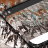 icon Flash Mob Keyboard 1.270.15.119