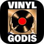 icon Vinylgodis
