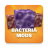 icon mods.minecraft.bacteriamod 1.0