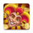 icon com.luckygamesa.jokerheads 1.0.0