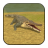 icon Wild Crocodile Sim 100