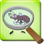 icon Best Magnifying Glass