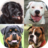 icon Dogs Quiz 3.3.0