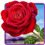 icon Rose