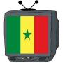 icon Senegal TV