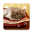 icon Lullaby 1.4